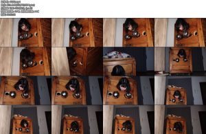 [路由原创] 木枷禁锢和开口器-丝依依