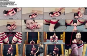 [鑫鑫原创] 鑫鑫工作室 美女王钰被捆绑强高放置过程超级刺激口枷X_X置GC喷水口水直流-丝依依