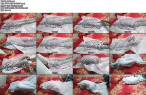 [亚洲绳艺] 白色全包紧身衣之真空袋-丝依依