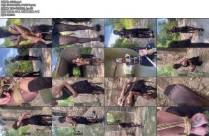 [媚娘原创] 来自圈内女王的挑衅-丝依依