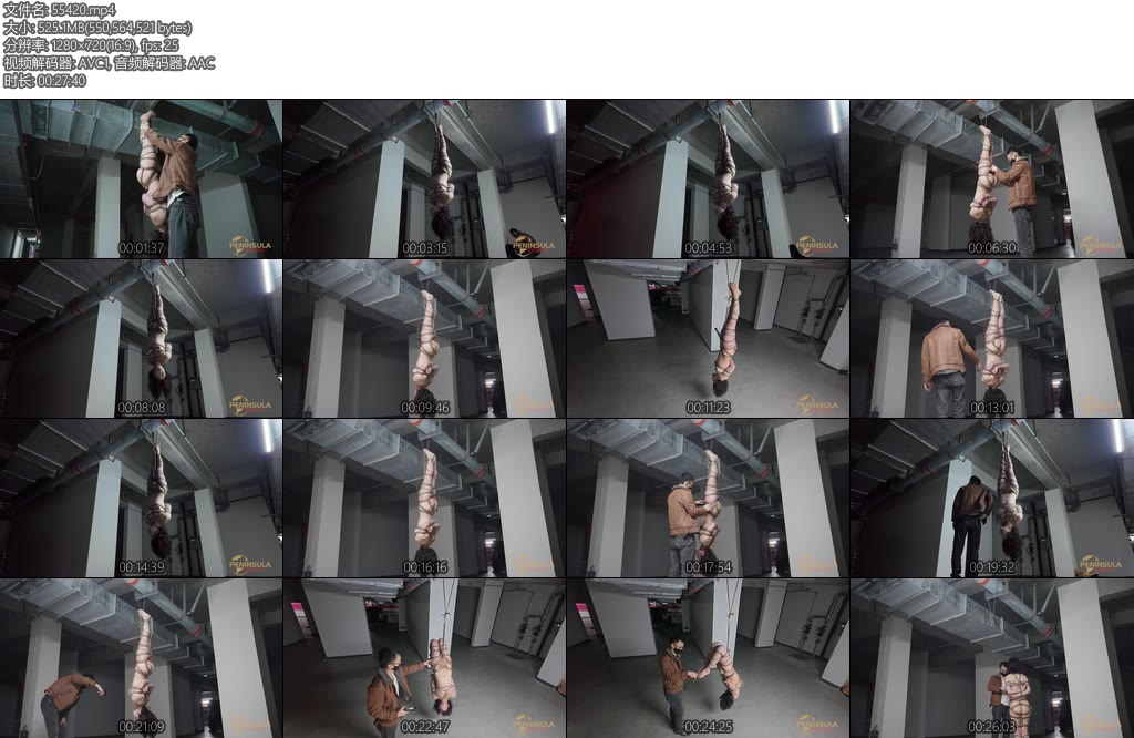 [半岛束艺] 落叶震动的地下车库-丝依依