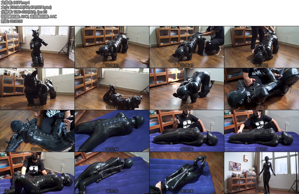 [闪闪原创] 闪闪工作室 全覆盖的乳胶衣人形犬的完美结合肛钩固定强制直腰爬行-丝依依