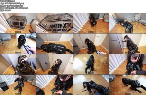 [D-Lemon] ヒトイヌ拘束電気首輪イラマ責め-丝依依