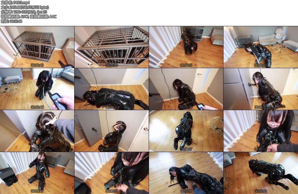 [D-Lemon] ヒトイヌ拘束電気首輪イラマ責め-丝依依