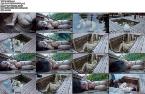 [半岛束艺] 拉丁五张扑克牌可以做什么-丝依依