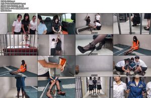 [鑫鑫原创] 王队对嫌疑人江红进行审问指出从死者指甲缝中提取到了江红的DNA江红被指控为张教授被杀案的嫌疑人江红坚称张教授对她进行性侵她因此预谋将其杀害并使用了特制的冰锥然而通过DNA鉴-丝依依