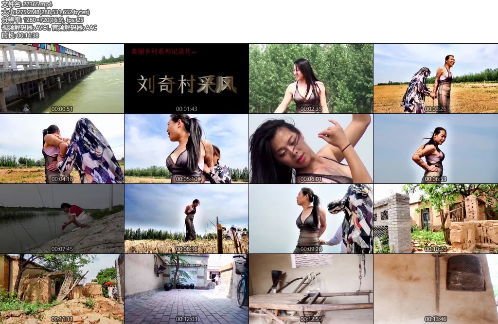 [天逸影画] 刘奇村采风-丝依依