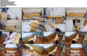 [半岛束艺] 真正的熊孩子~小晚-丝依依