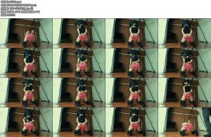 [亚洲绳艺] プライベートのうしろすがたバイブ挿入ごっくんフェラA womans private time from behind A blowjob with a vibrator inse-丝依依