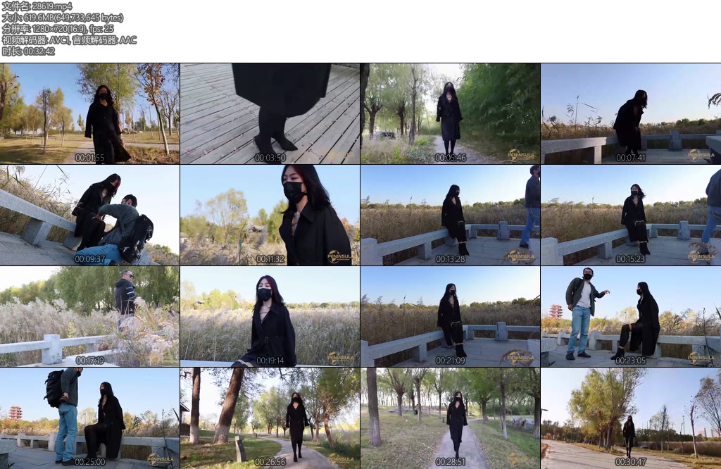 [半岛束艺] 秋天的芦苇-丝依依