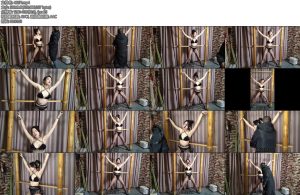 [随心原创] 雅熙极限火字型固定电动玫瑰花乳夹效果试用-丝依依