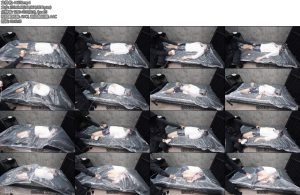 [D-Lemon] 布団圧縮X_Xcompleteplan-丝依依