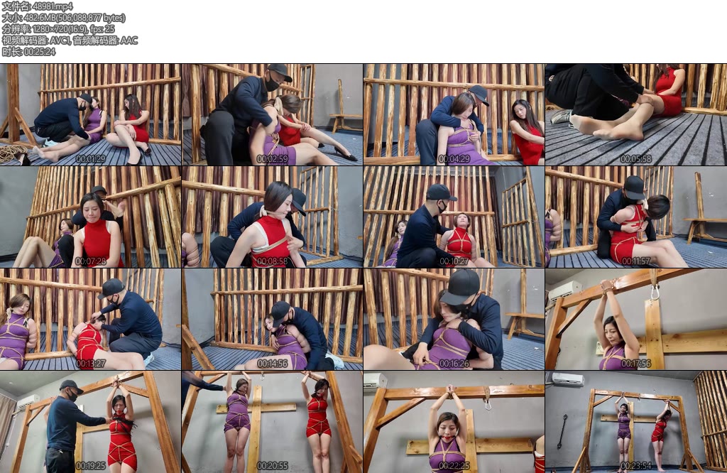 [李大侠] 特战行动之诱捕第二集-丝依依