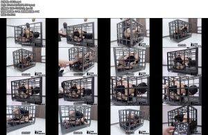 [冥想原创] 完美复刻house of gord兔笼第七期肛钩鼻钩折磨话痨少女被堵着嘴还一直哼唧嘴上一直不服郊狼和AV棒折磨到服气-丝依依