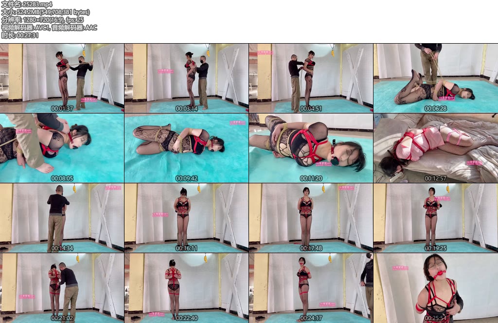 [寻梦苑] 梦梦连体网衣TJ-丝依依