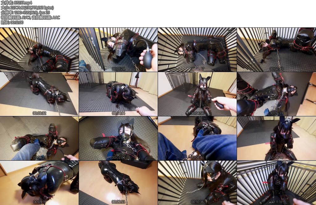 [D-Lemon] ヒトイヌ拘束監禁調教completeplan-丝依依