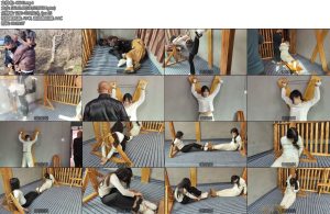 [李大侠] 绳艺小院之绑架下-丝依依