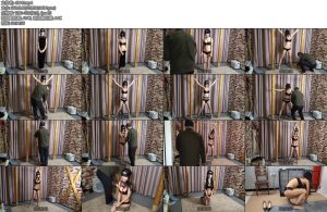 [随心原创] 汤圆调叫与羞辱的采访一边调叫一边说体验-丝依依