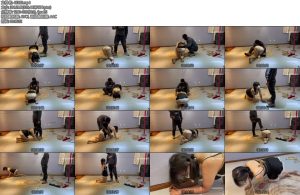 [龙飞原创] 玩转小奴重度sp-丝依依