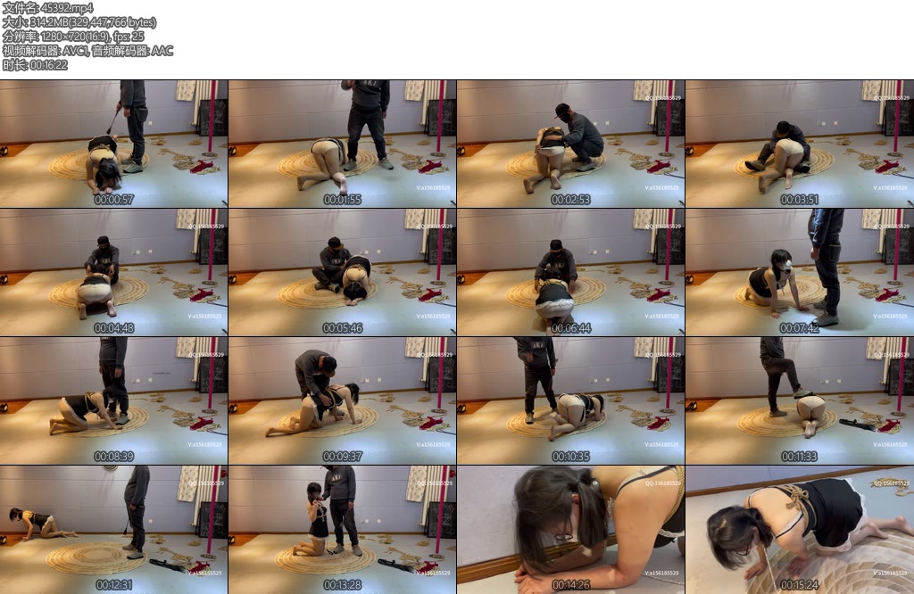 [龙飞原创] 玩转小奴重度sp-丝依依