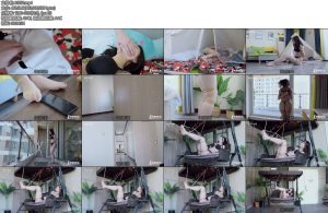 [半岛束艺] 物业为您服务~矢崎-丝依依