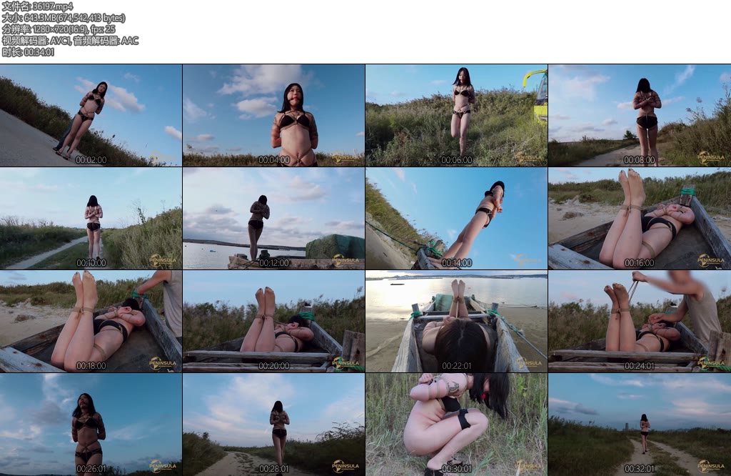 [半岛束艺] 波雅纤夫的爱-丝依依