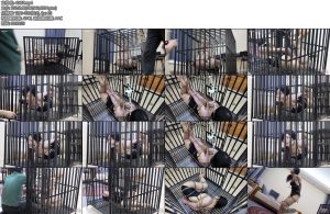 [半岛束艺] 海语笼中吊-丝依依