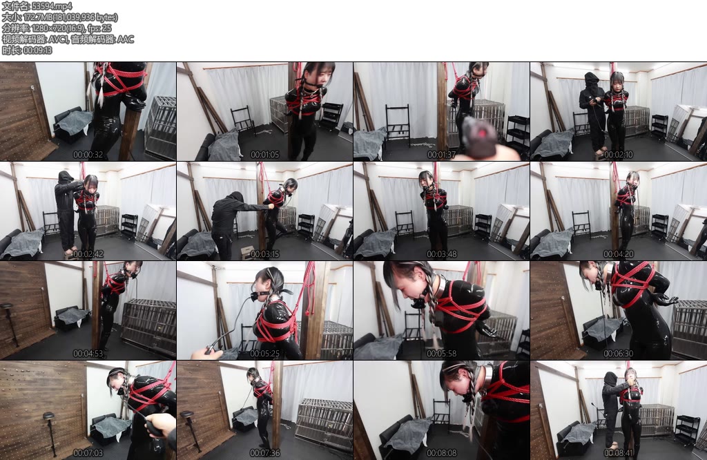 [D-Lemon] ラバー吊り上げ拘束complete plan-丝依依