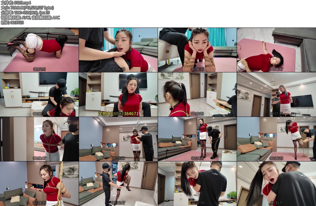 [李大侠] 居家调叫佳佳2-丝依依