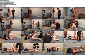 [束缘阁] 杨蕊黑网衣驷马滚轮挠-丝依依