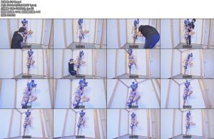 [亚洲绳艺] 碧蓝航线柴郡猫泳装捆绑单腿吊口球震动bang固定带郊狼-丝依依