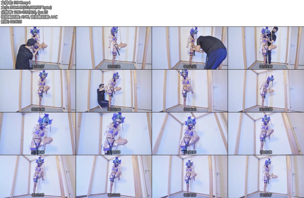 [亚洲绳艺] 碧蓝航线柴郡猫泳装捆绑单腿吊口球震动bang固定带郊狼-丝依依