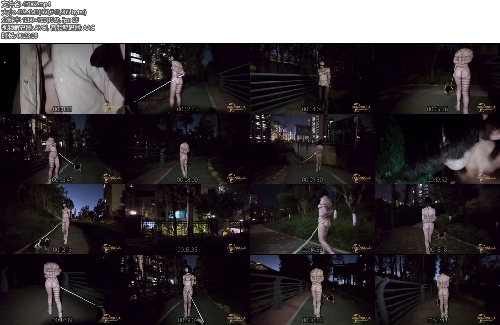 [半岛束艺] 汪星崛起落叶主演-丝依依