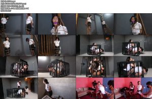 [胜景影视] 新片女记者被绑遭遇（下集）女记者她们被关固定在笼子里结局是怎么样-丝依依