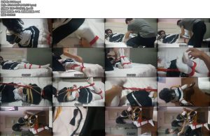 [亚洲绳艺] 伪娘白九 日常女仆装白丝驷马-丝依依