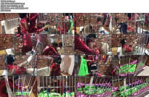 [柔丝原创] 丝巾绳艺丝袋狗笼禁锢-丝依依