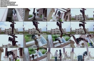 [半岛束艺] 苏子一声惊雷平地起为何我会在这里-丝依依