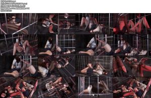 [动画片] 我的狗奴姐妹Ⅱ姐姐用棒棒对着妹妹疯狂榨汁输出打开笼子后无法抑制住狗狗的本性两姐妹一起在笼中挣扎享受-丝依依