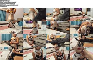 [李大侠] 我的秘书我的奴系列之三-丝依依