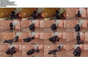 [魔束原创] k9智能化榨汁训练雌堕小伪娘怎么能抵挡榨汁的诱惑一次两次三次啊不行了快放开好羞耻啊双腿不停的颤抖马上就要喷射了-丝依依