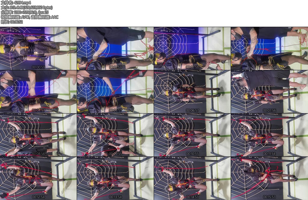 [八号当铺] 永劫无间同人捆缚-丝依依