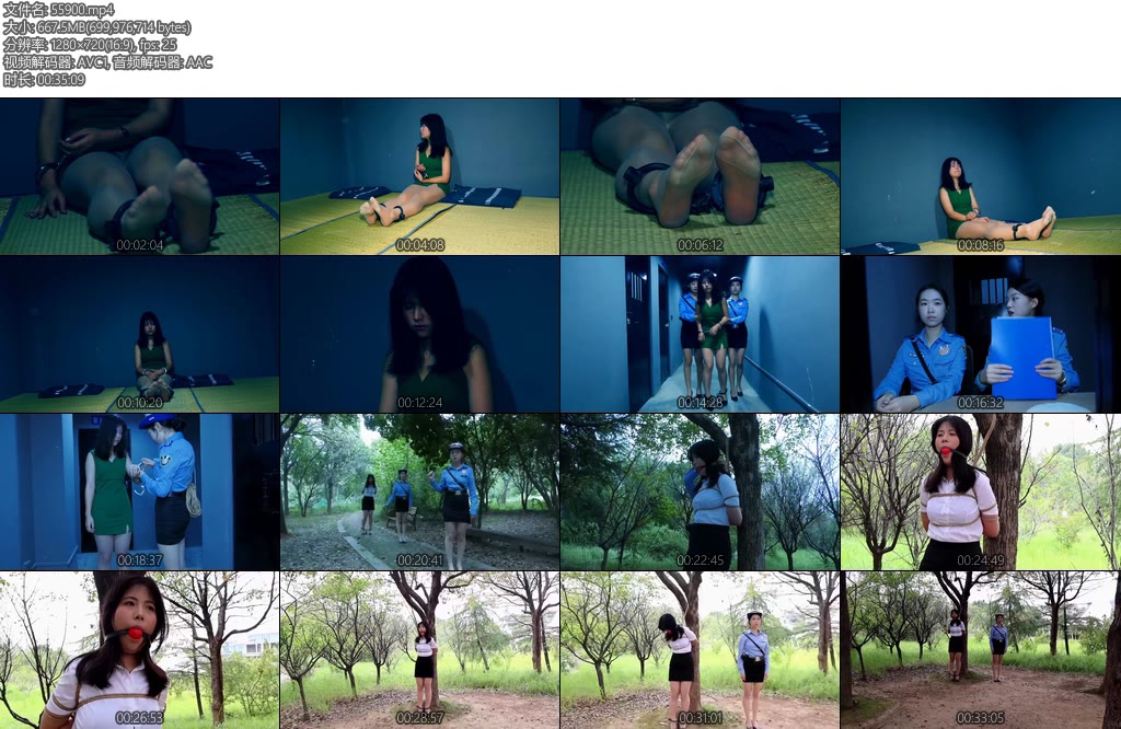 [胜景影视] 毒玫瑰落网上集毒玫瑰被押解回监狱路上汽车遭人破坏被迫走小路前行等待救援-丝依依