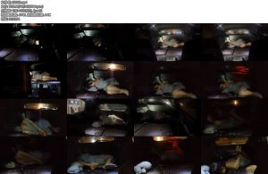 [欢乐谷] 绑架少女到后备箱跨越三个省 出去旅游会加的途中，丫丫不小心惹大叔生气了-丝依依