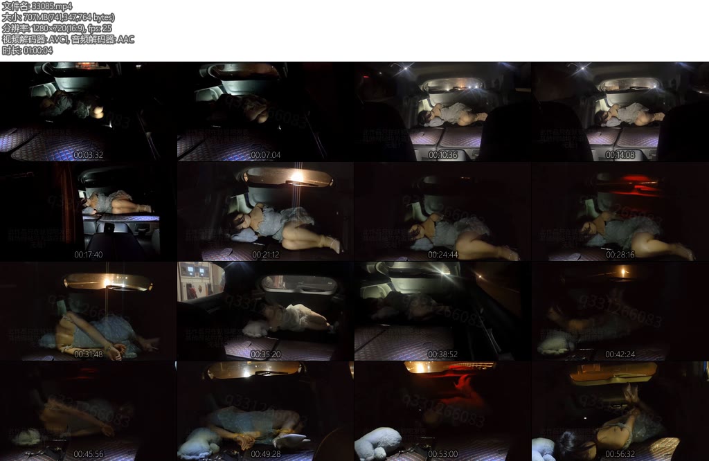 [欢乐谷] 绑架少女到后备箱跨越三个省 出去旅游会加的途中，丫丫不小心惹大叔生气了-丝依依