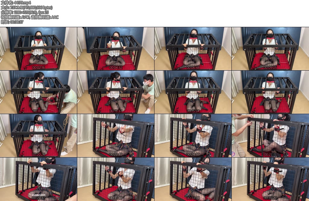 [黑魔法师] 被迷晕囚禁的大学生家教老师半糖被迷晕关进铁笼最后被绳子绞首-丝依依