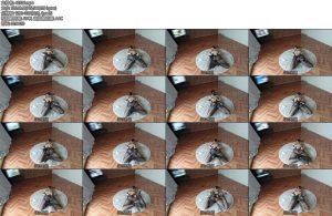 [亚洲绳艺] 拘束バイブ放置で１時間休日の過ごし方-丝依依