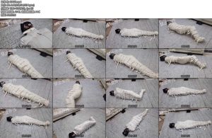 [枫叶原创] 木乃伊睡袋纯捆挣扎-丝依依