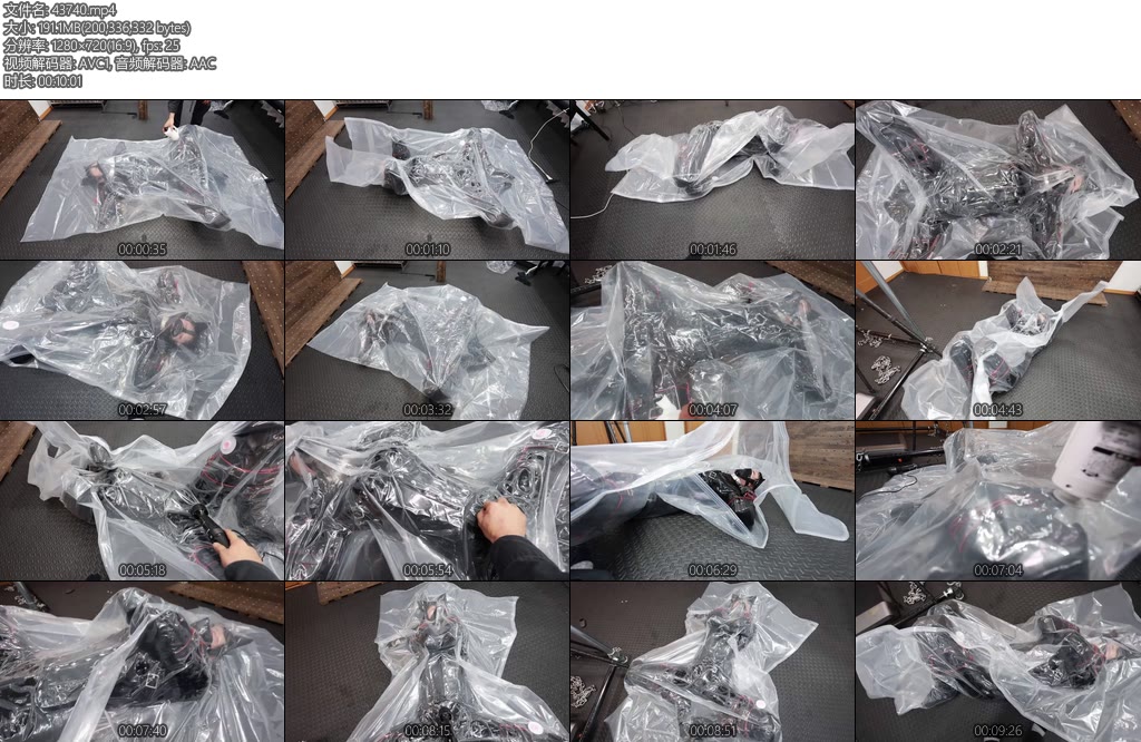 [D-Lemon] ヒトイヌ拘束X_Xcompleteplan-丝依依