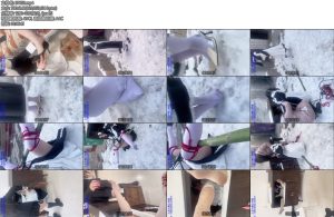 [亚洲绳艺] 三五小脚 暴躁的主人-丝依依