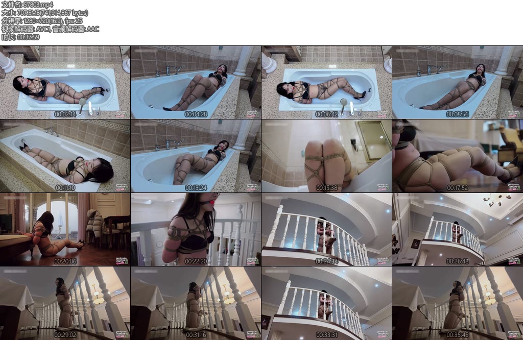 [半岛束艺] 为了不让波雅谈恋爱-丝依依